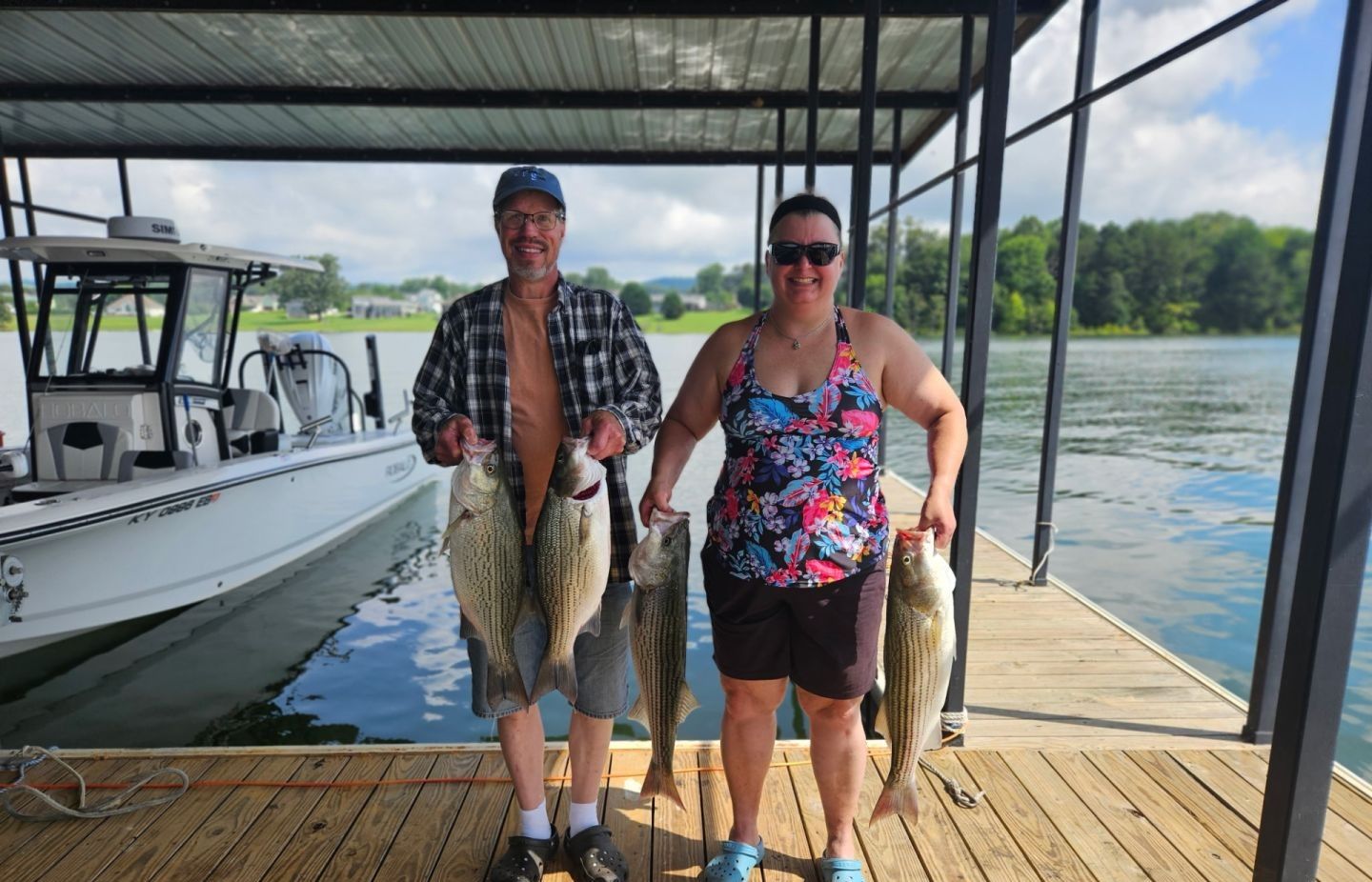 4 striped bass and wiper (hybrid striped bass) caught while fishing