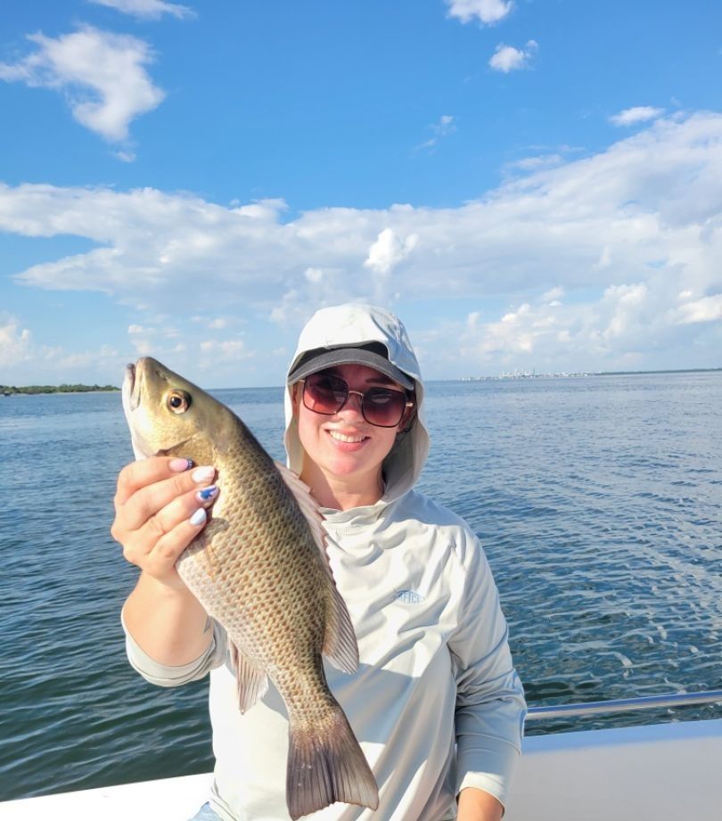 Grey Snapper fish caught during fishing
