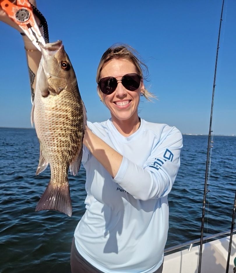 Grey snapper caught while fishing
