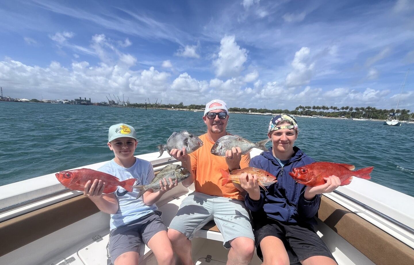 Successful fishing trip displaying multiple caught fish species including Grey Triggerfish and red snappers on boat