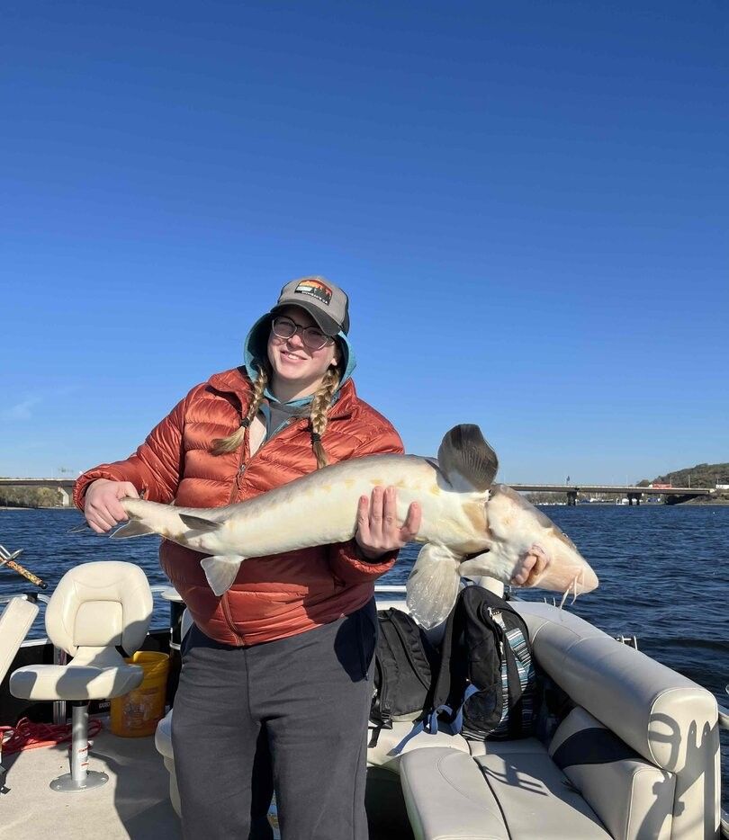 Lake sturgeon caught on fishing boat with clear blue sky