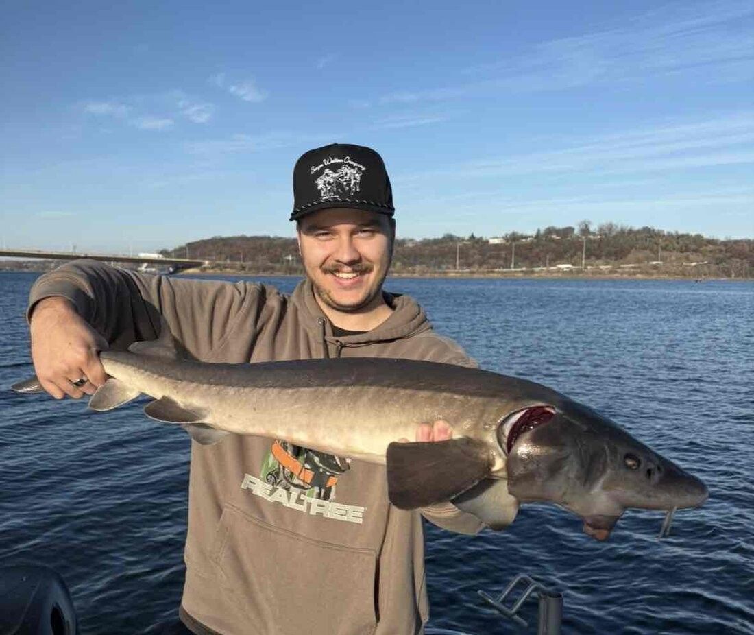 Angler holding a large lake sturgeon on a boat with water and shoreline in background