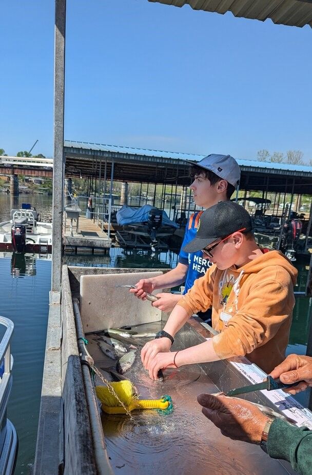 Fish cleaning station at marina with freshly caught fish being processed