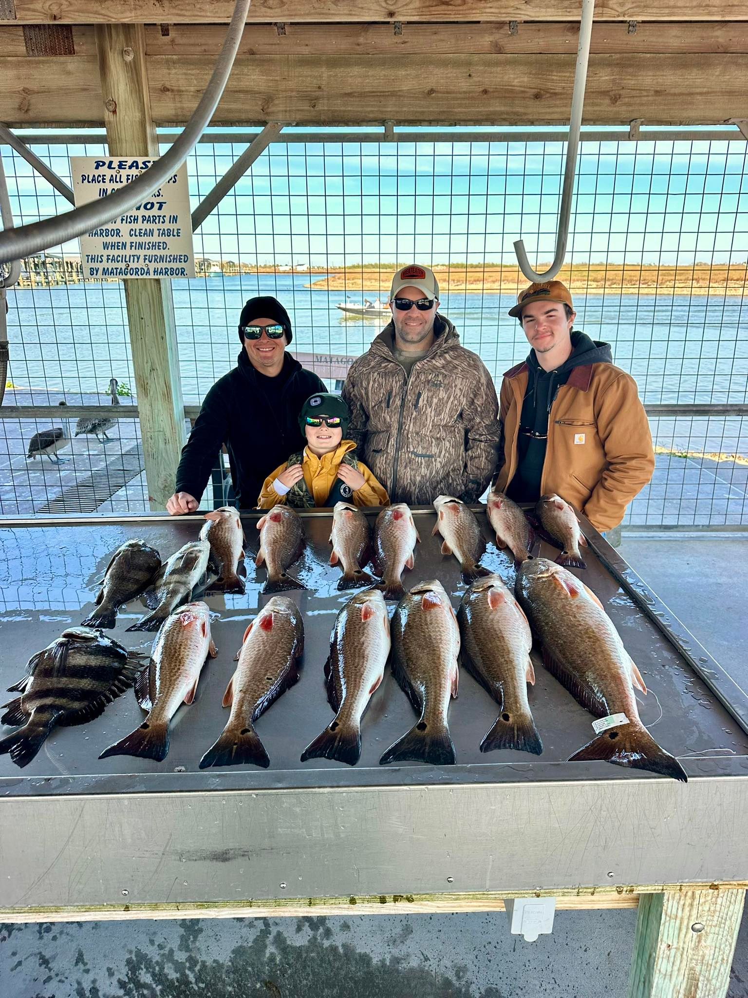 Successful fishing trip with redfish, black drum, and sheepshead displayed on cleaning table at marina