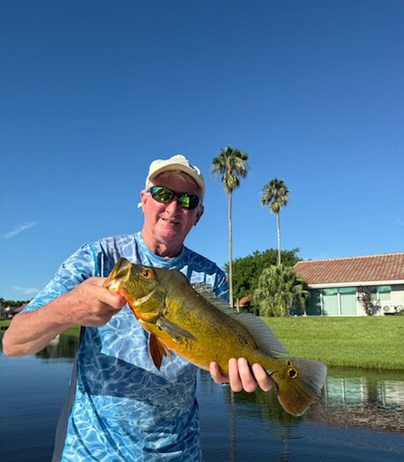 Peacock bass caught during fishing