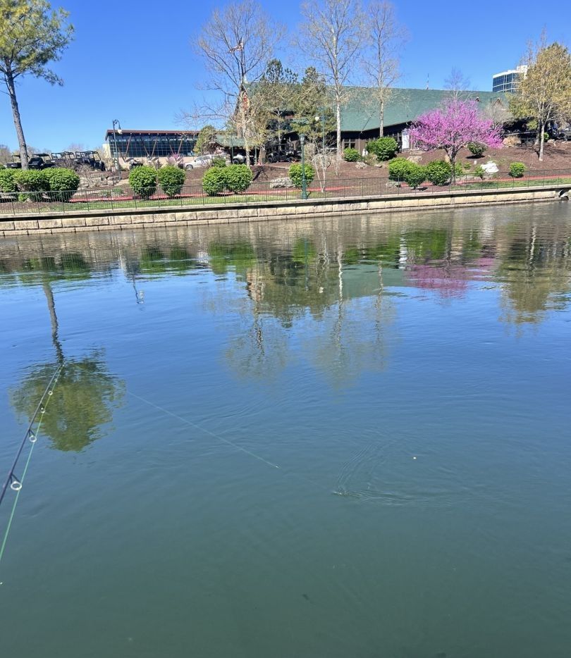 Scenic fishing spot with unknown location.