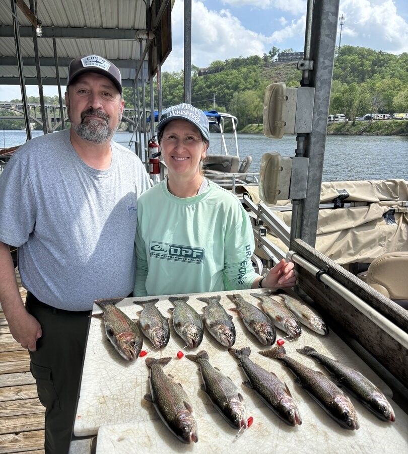 Fresh caught rainbow trout displayed on cleaning table at boat dock