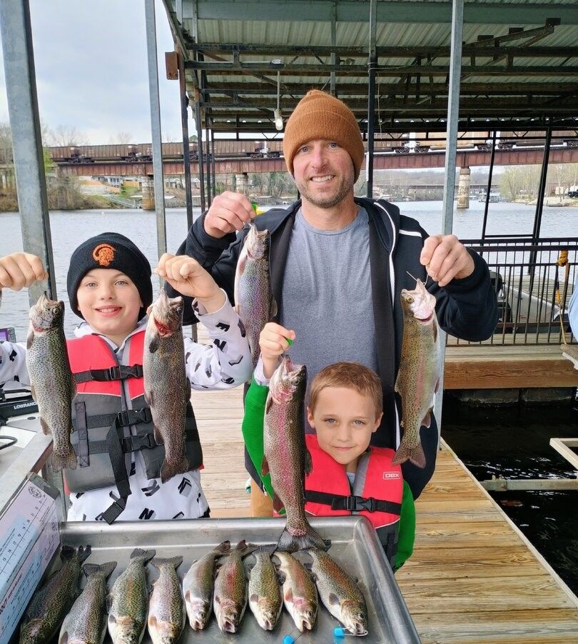 Successful fishing trip showing multiple rainbow trout caught and displayed
