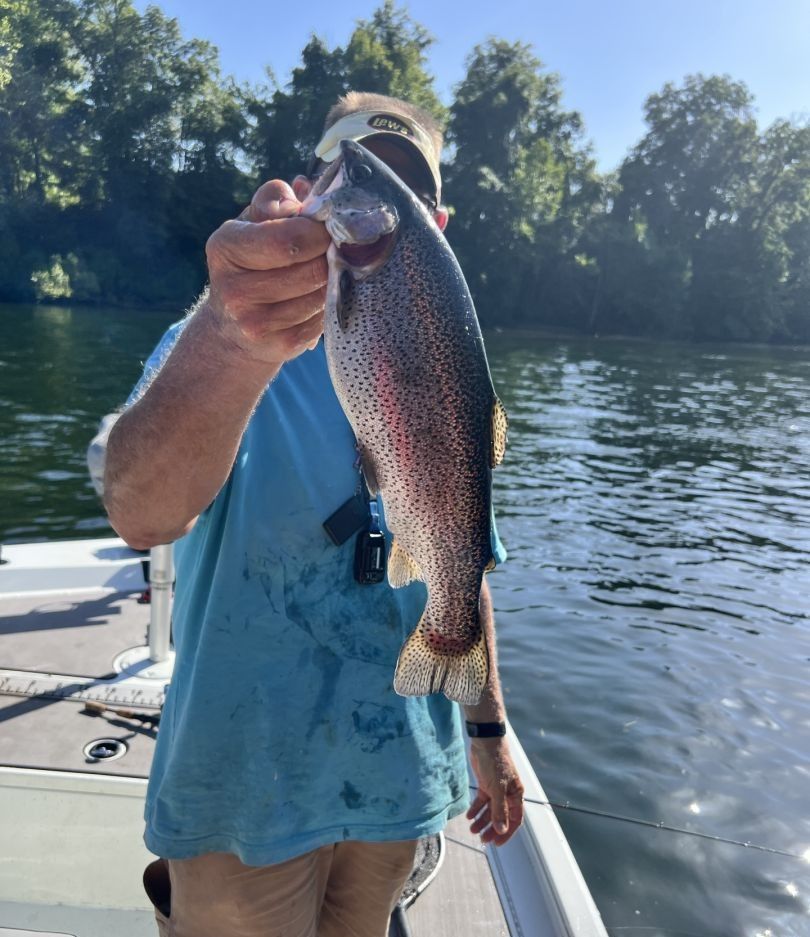 Rainbow trout caught fishing at unknown location