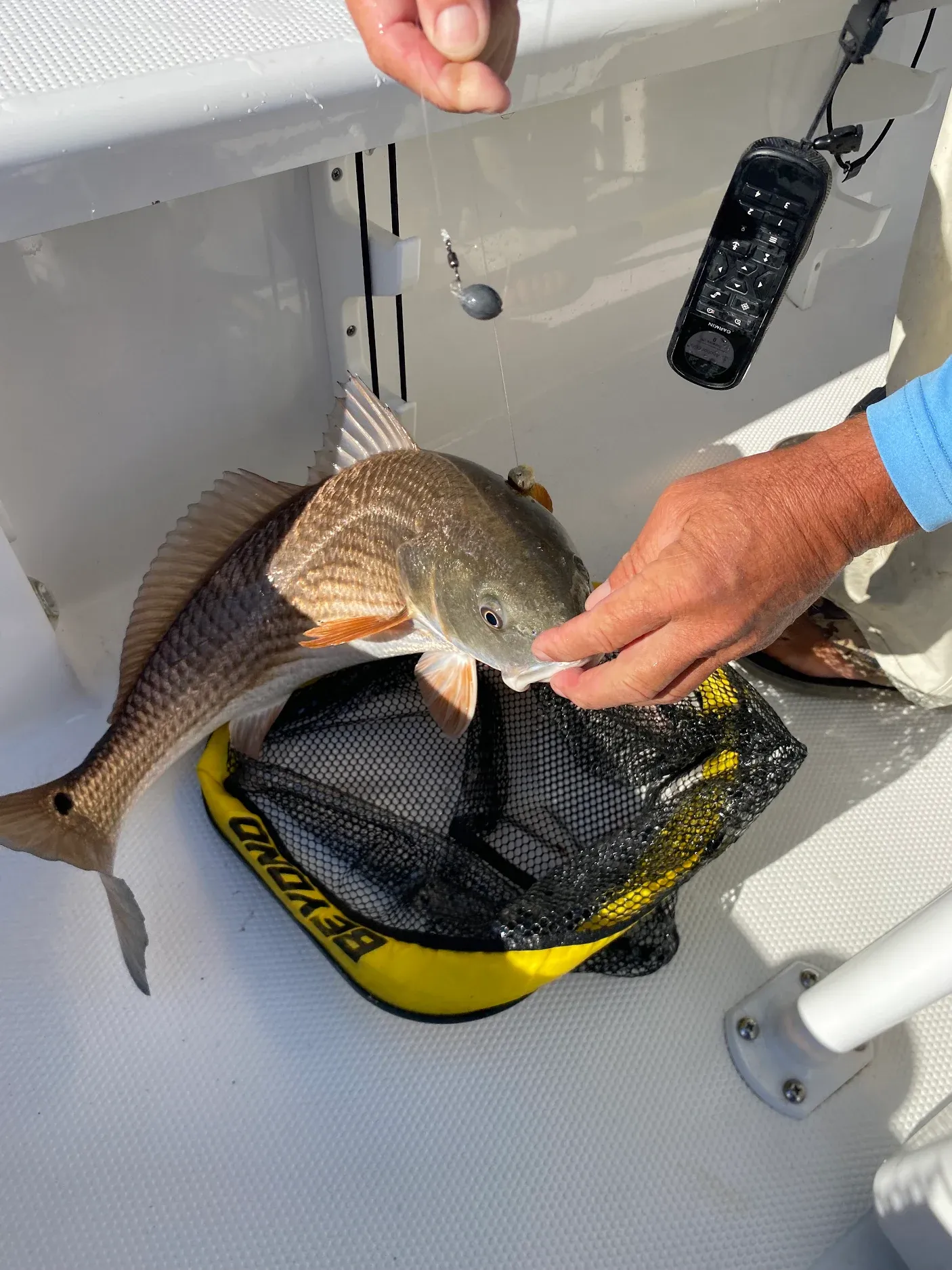 Redfish being held over landing net on fishing boat deck