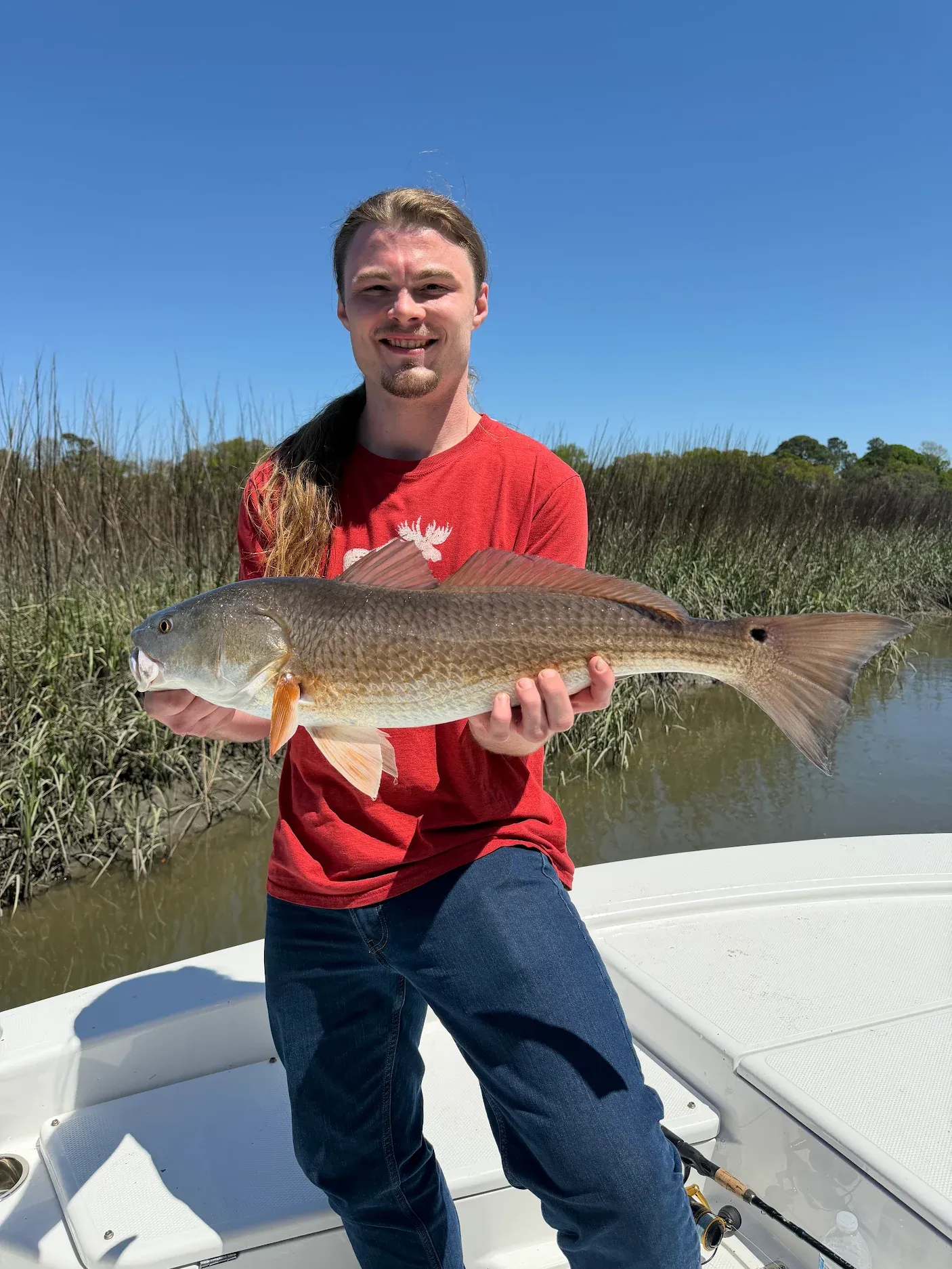 Freshly caught redfish being held on fishing boat in shallow water marsh
