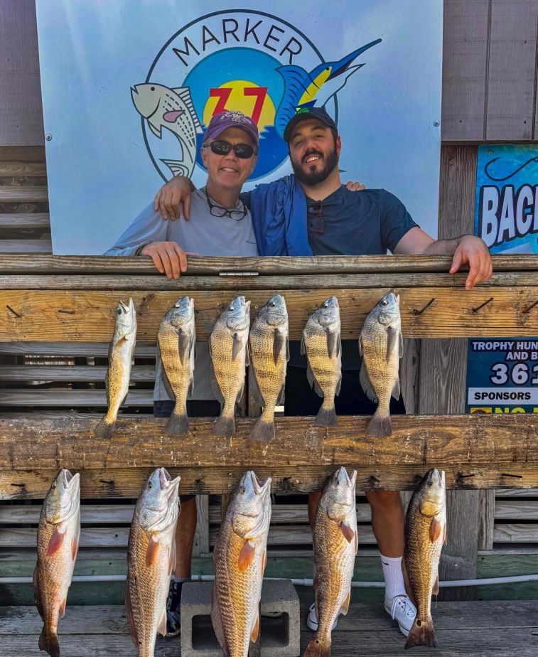 9 redfish caught while fishing