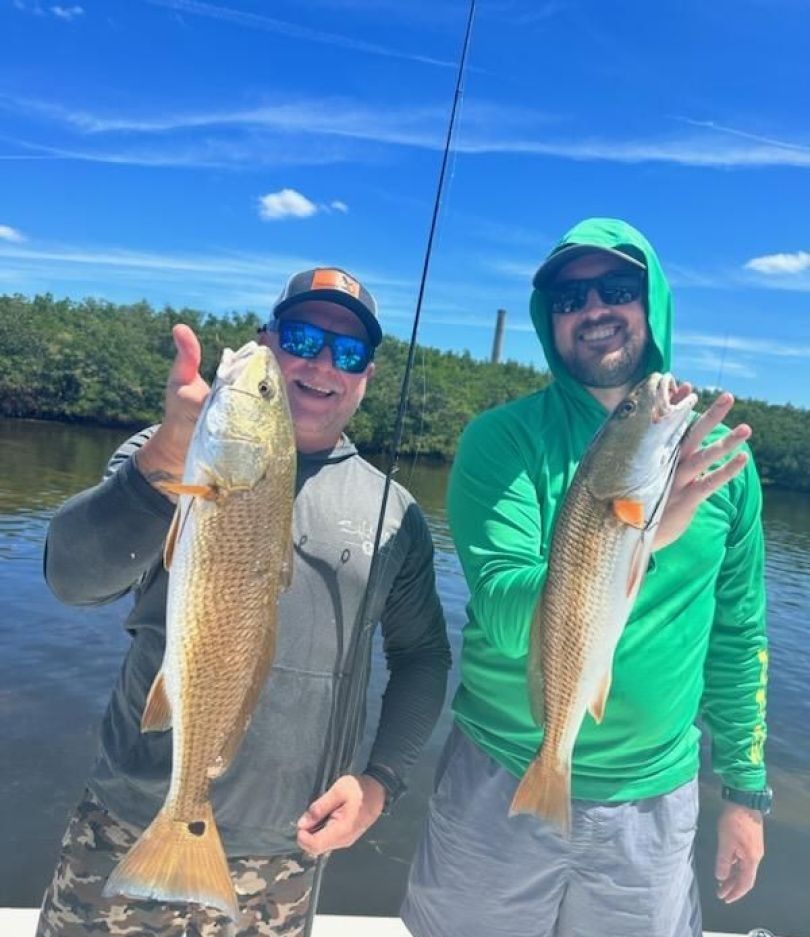 Two redfish, 26 inches long, caught while fishing