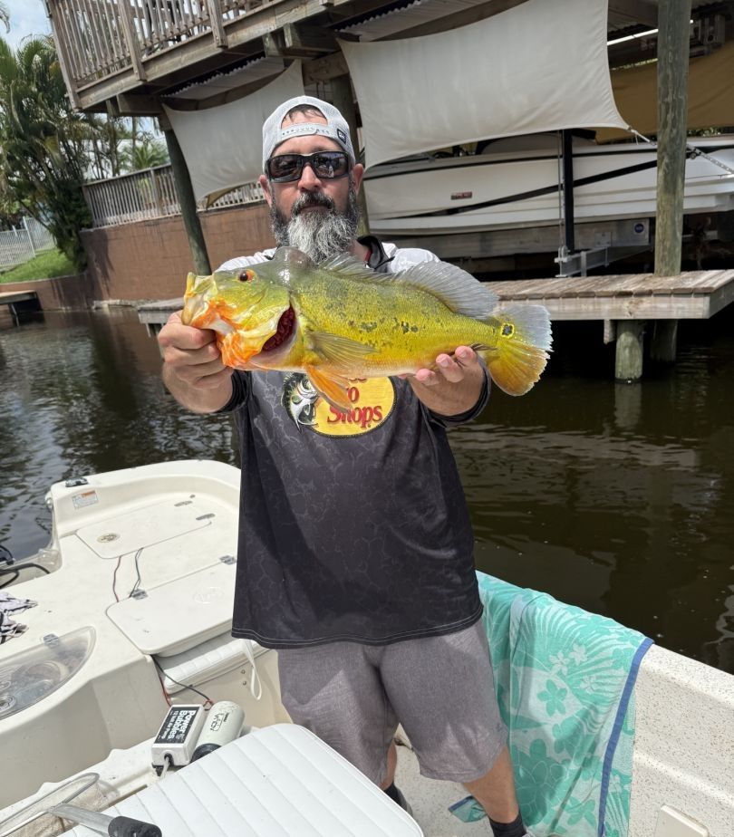 Two people fishing in a scenic location
