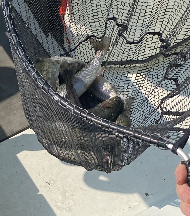 Scenic fishing spot with unknown location