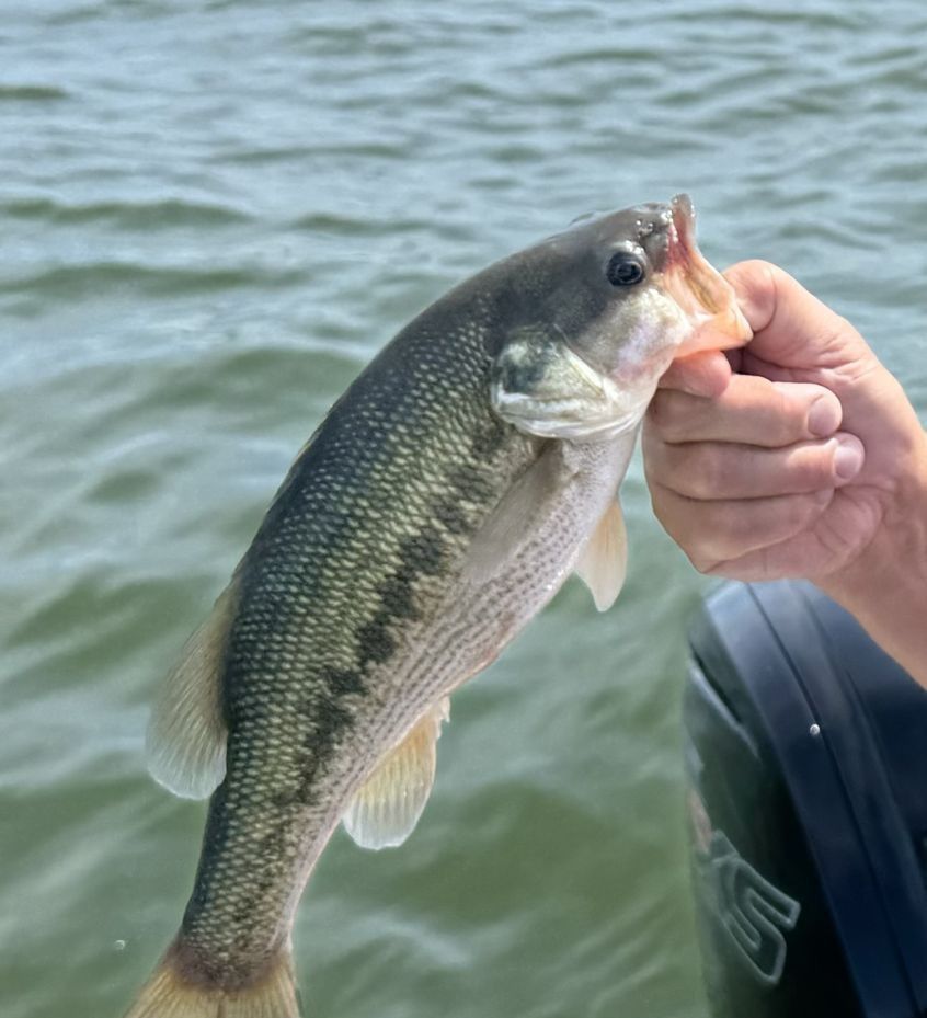 Scenic fishing spot at unknown location