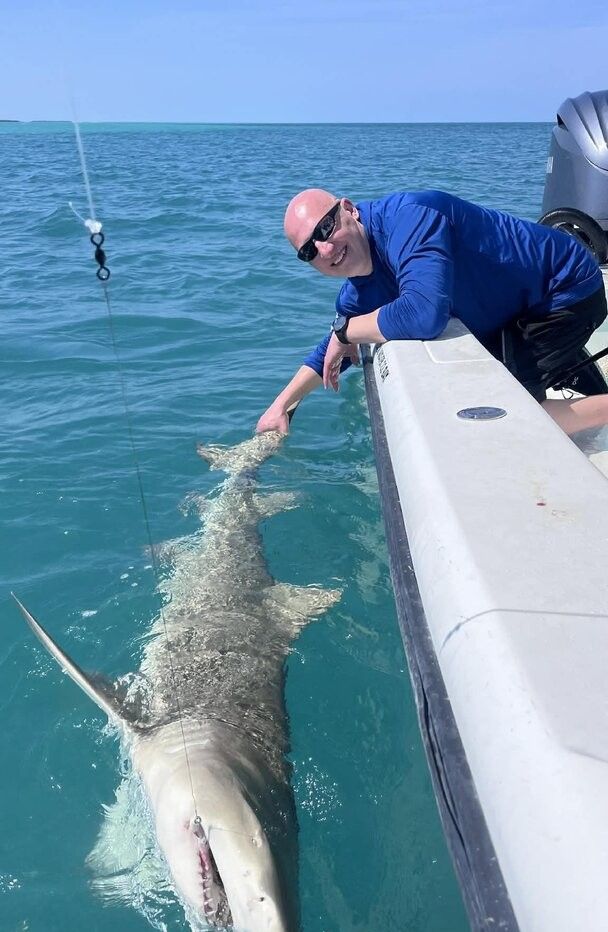 Large shark alongside fishing boat in clear blue ocean water