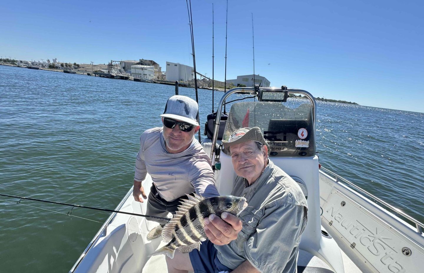 Sheepshead fish caught by two people fishing