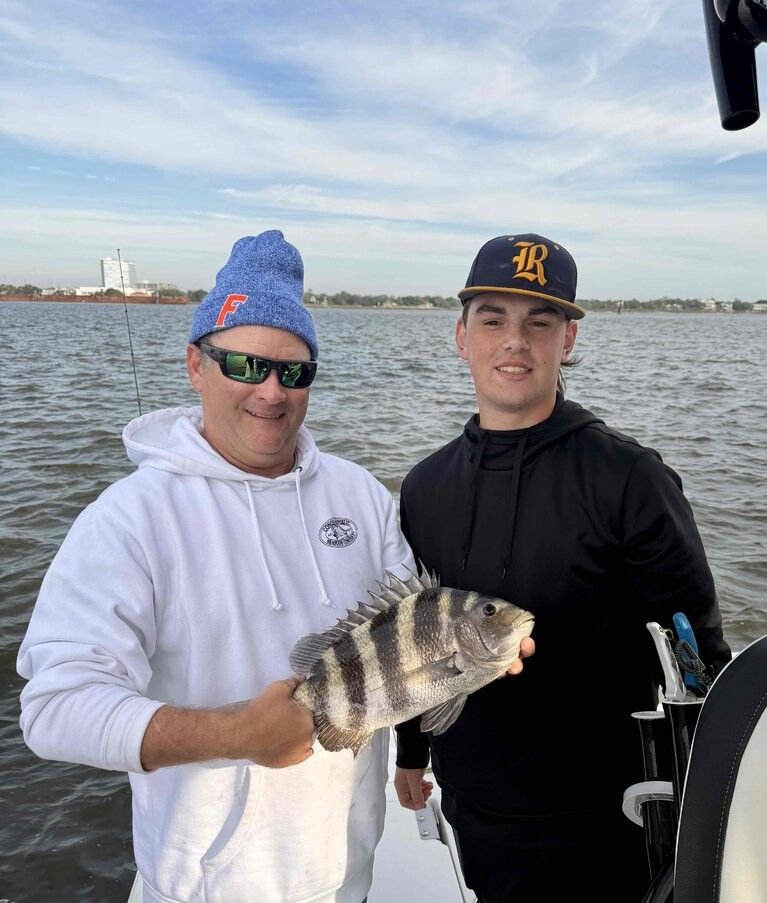 Sheepshead fish caught while fishing