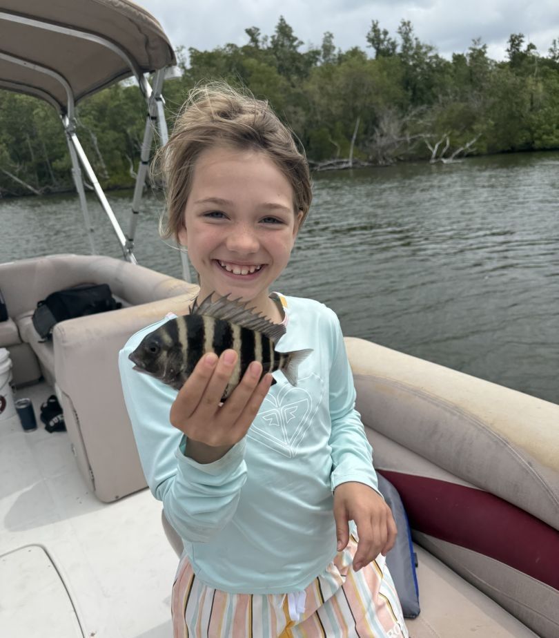Sheepshead caught while fishing