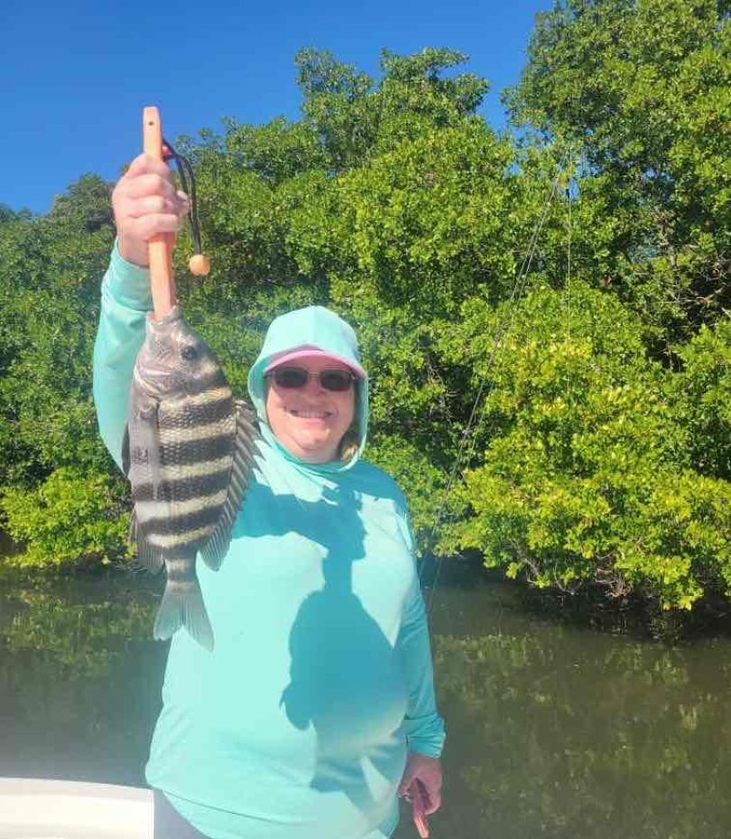 Sheepshead fish caught while fishing
