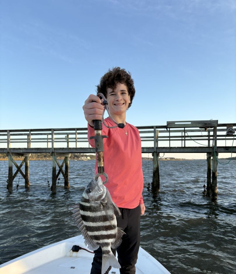 Sheepshead fish caught while fishing