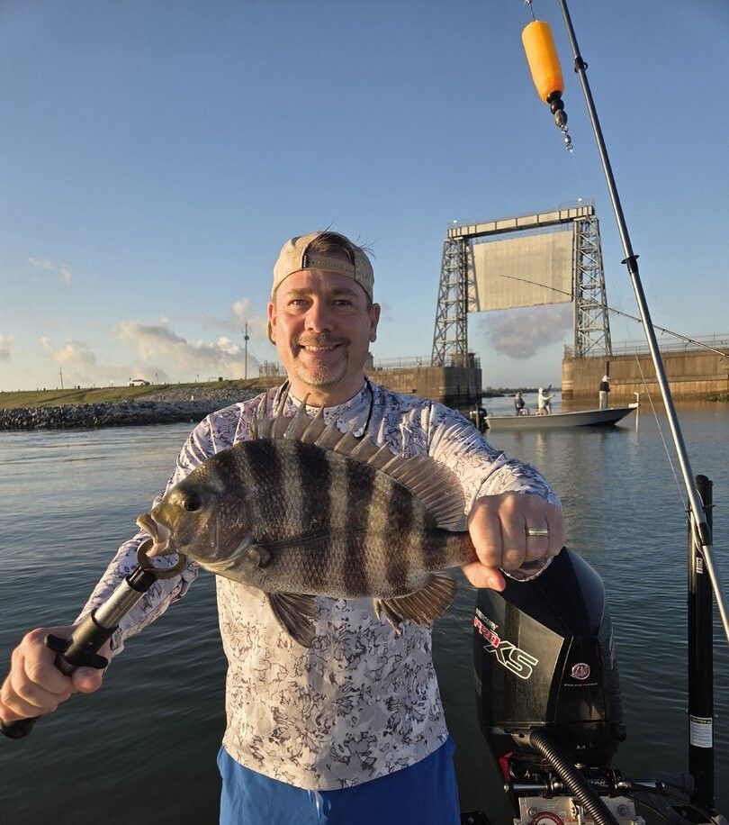 Angler holding freshly caught sheepshead fish on fishing boat with bridge in background