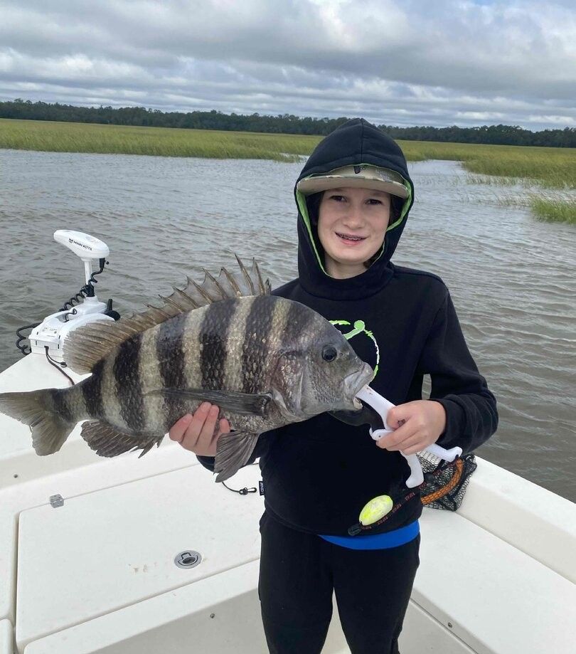 Freshly caught sheepshead fish being displayed on fishing boat