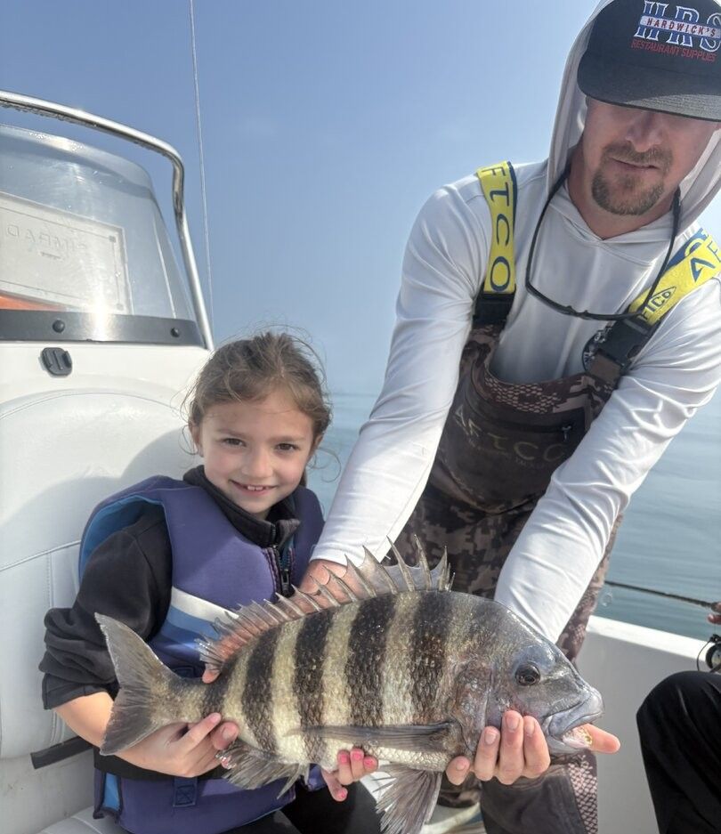 Sheepshead fish caught during fishing trip on boat