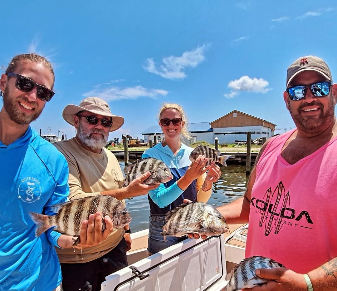 Three sheepshead fish caught while fishing at an unknown location