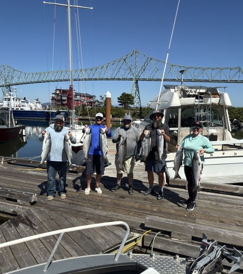 Six bluefish caught while fishing