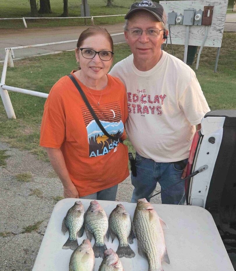 Six wiper (hybrid striped bass) caught while fishing