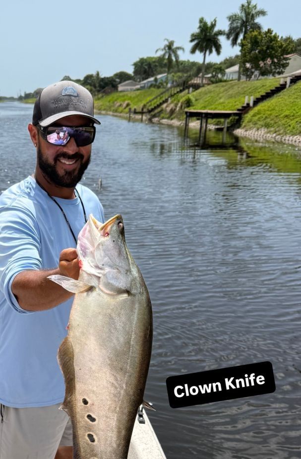 Spotted Weakfish caught while fishing