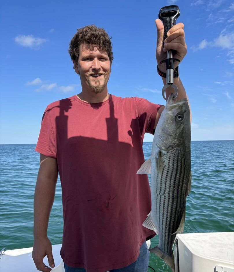 Striped bass catch displayed on fishing boat with ocean background