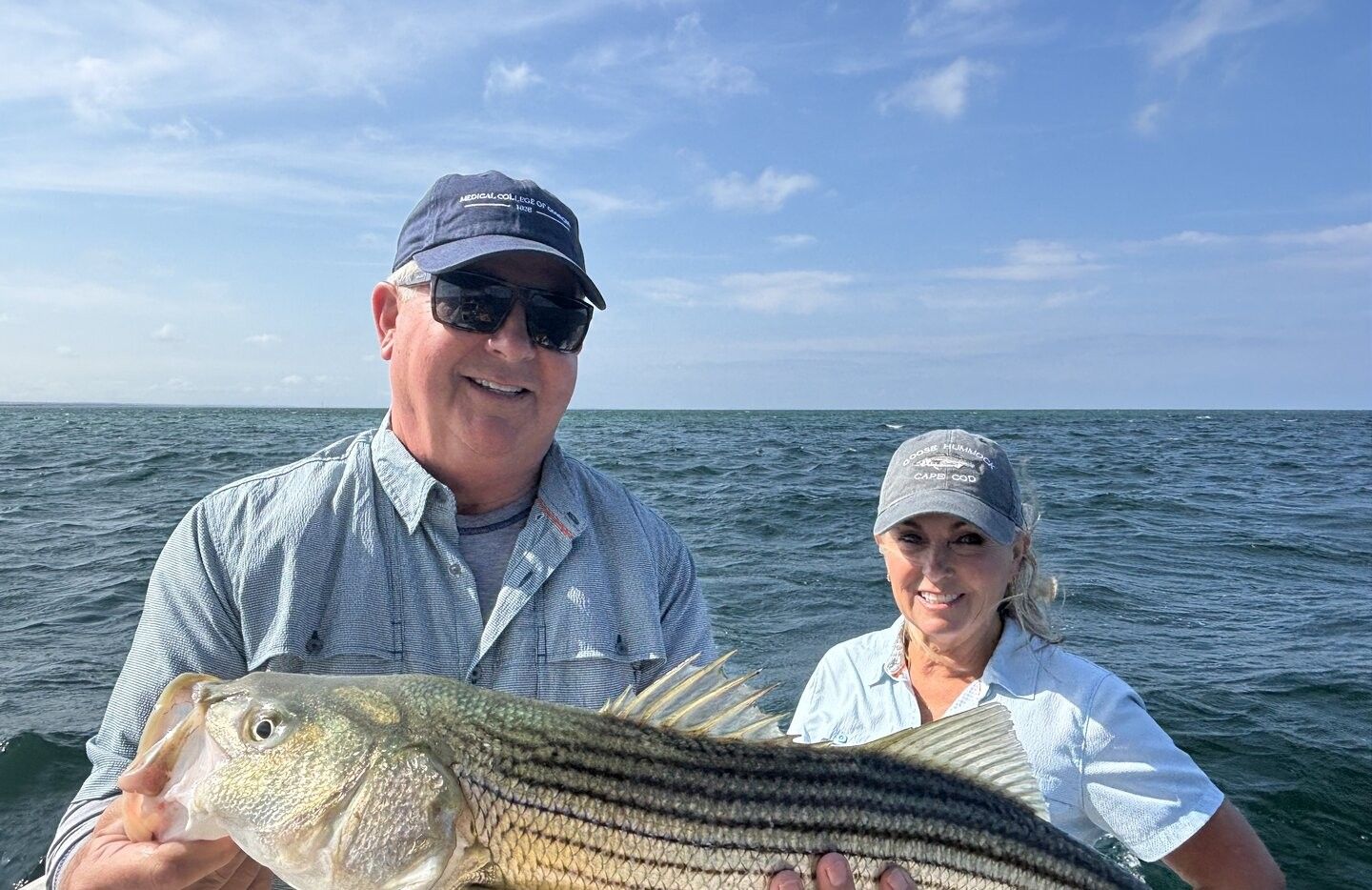 Freshly caught striped bass being held on a boat in open water