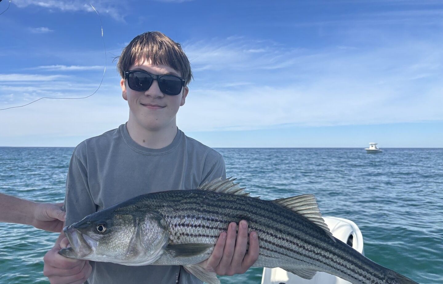 Fresh caught striped bass held on fishing boat in ocean waters