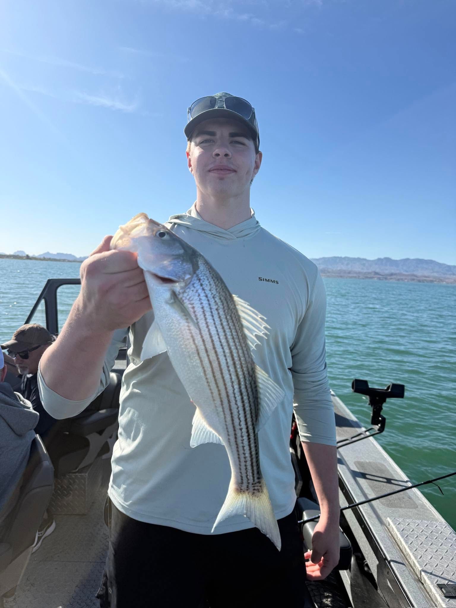 Freshly caught striped bass being displayed on fishing boat during outdoor fishing trip