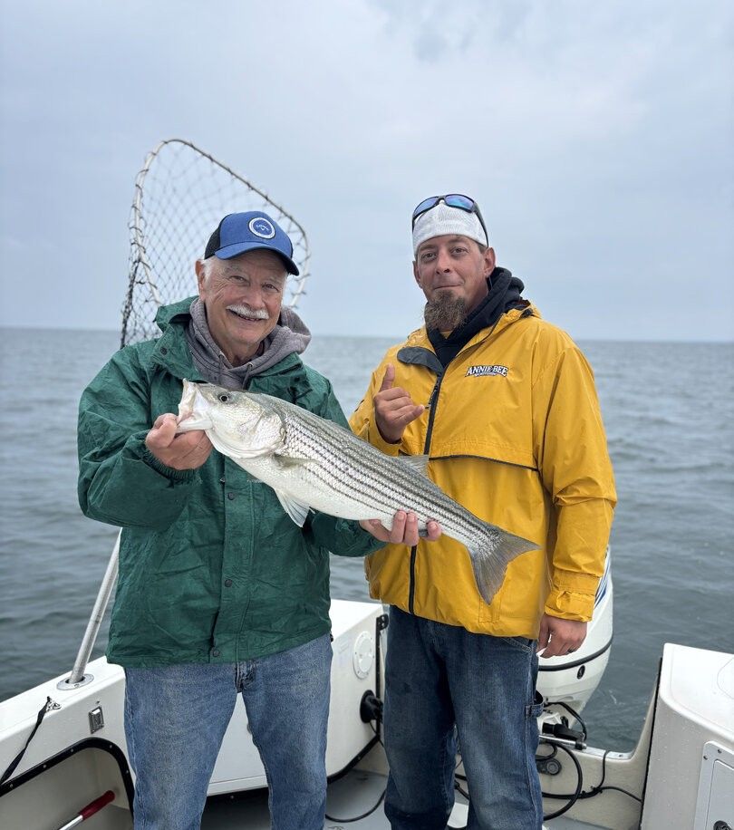 Two anglers on fishing boat displaying caught striped bass with landing net