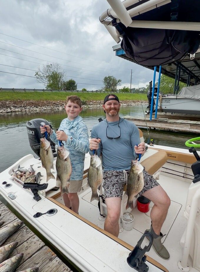 Successful fishing trip showing freshly caught striped bass on boat deck at marina