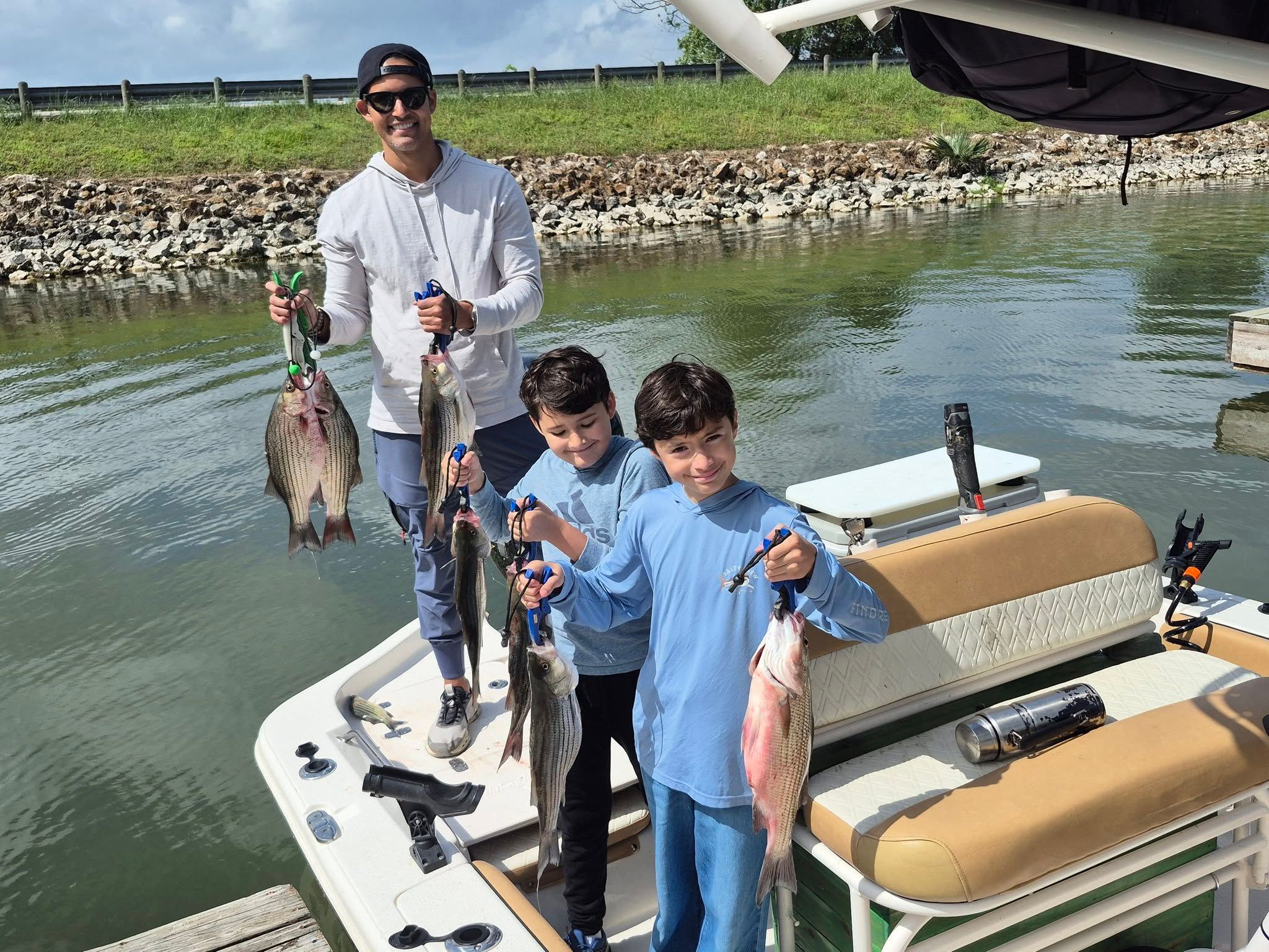 Successful striped bass fishing trip showing multiple caught fish on boat