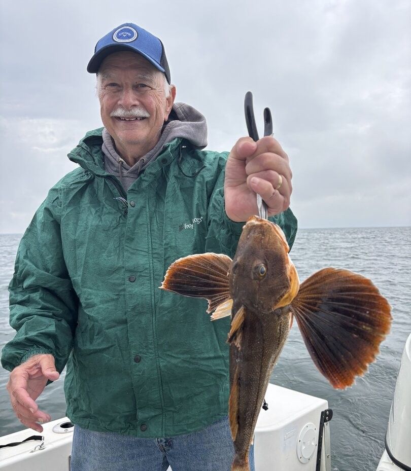 Freshly caught striped searobin held up on fishing boat over ocean water