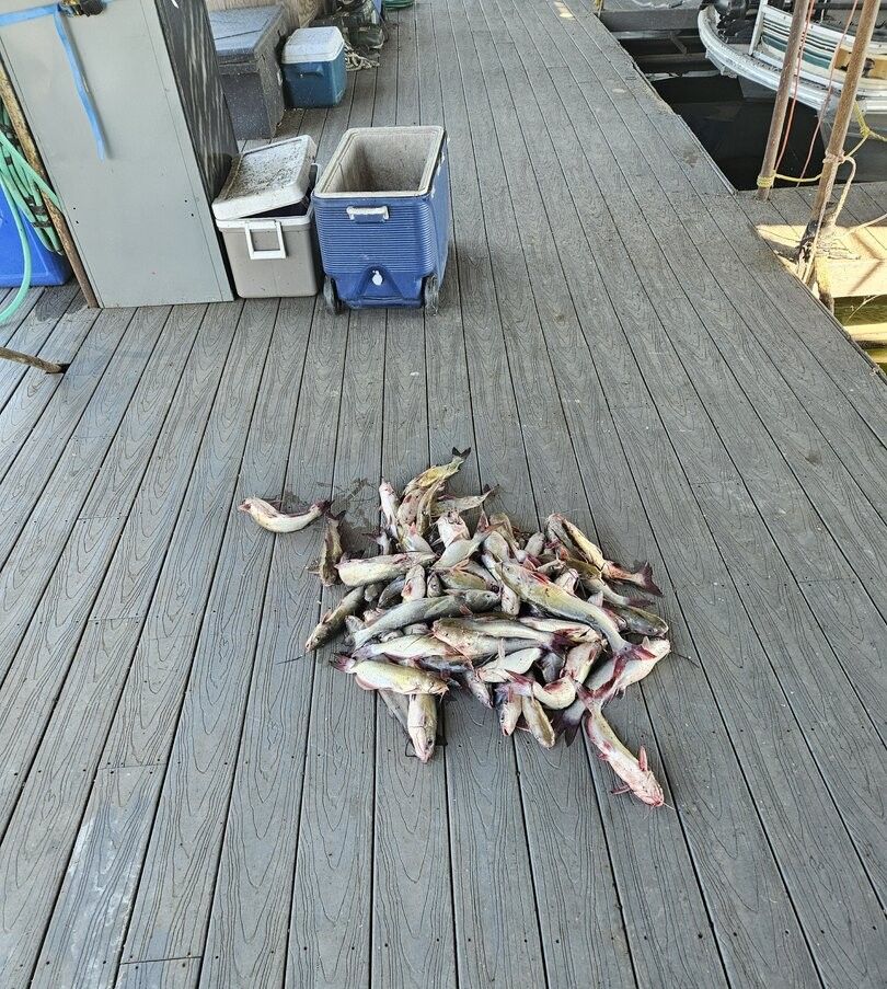 Fishing at an unknown location