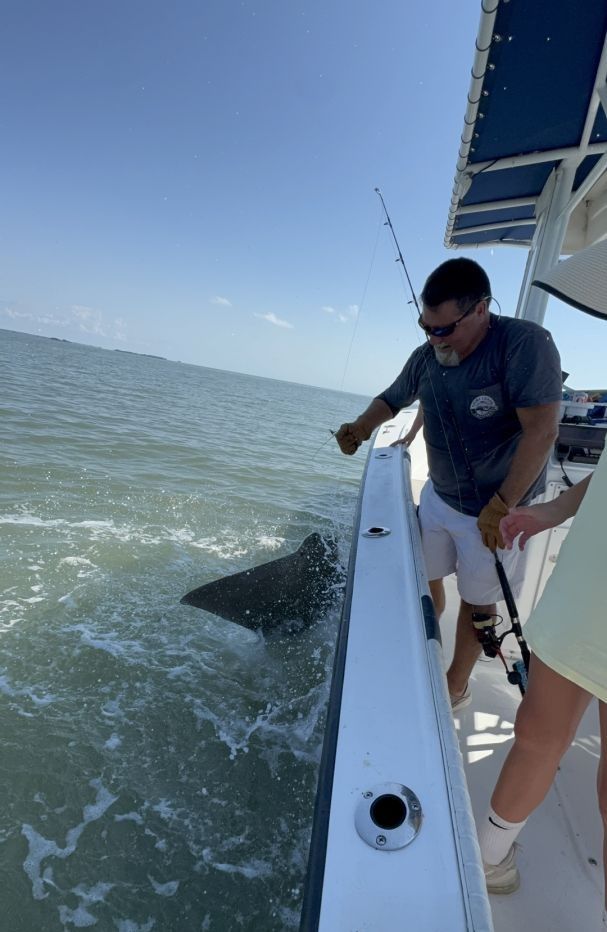 Solitary angler fishing in unknown location