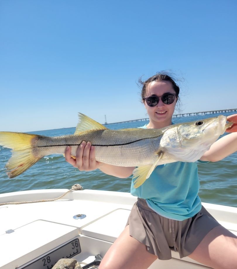 Snook fish caught while fishing