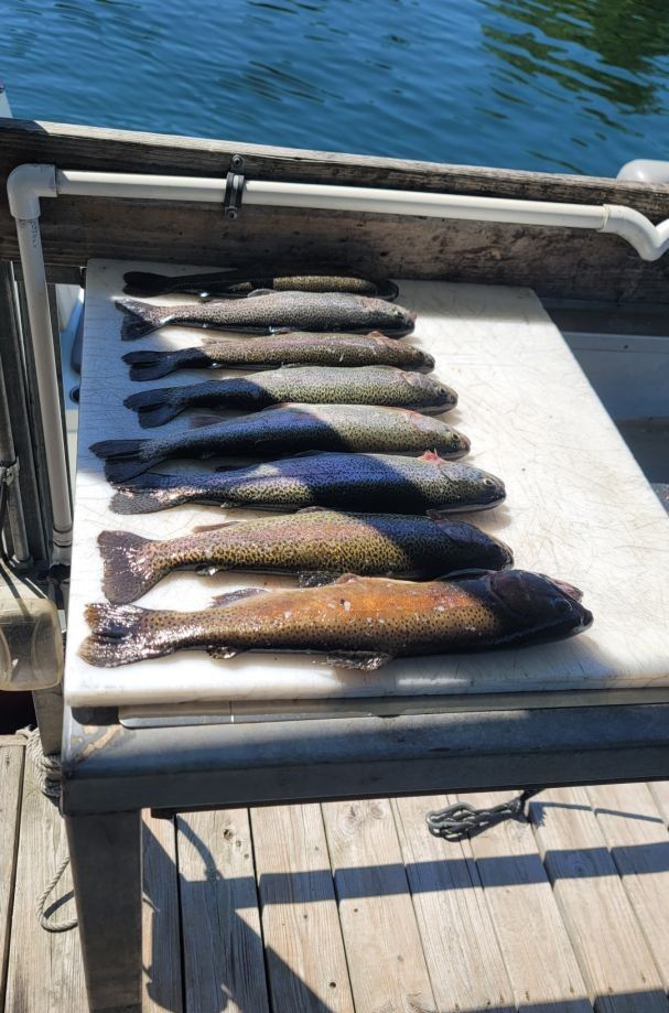 3 fish caught during a fishing trip at an unknown location
