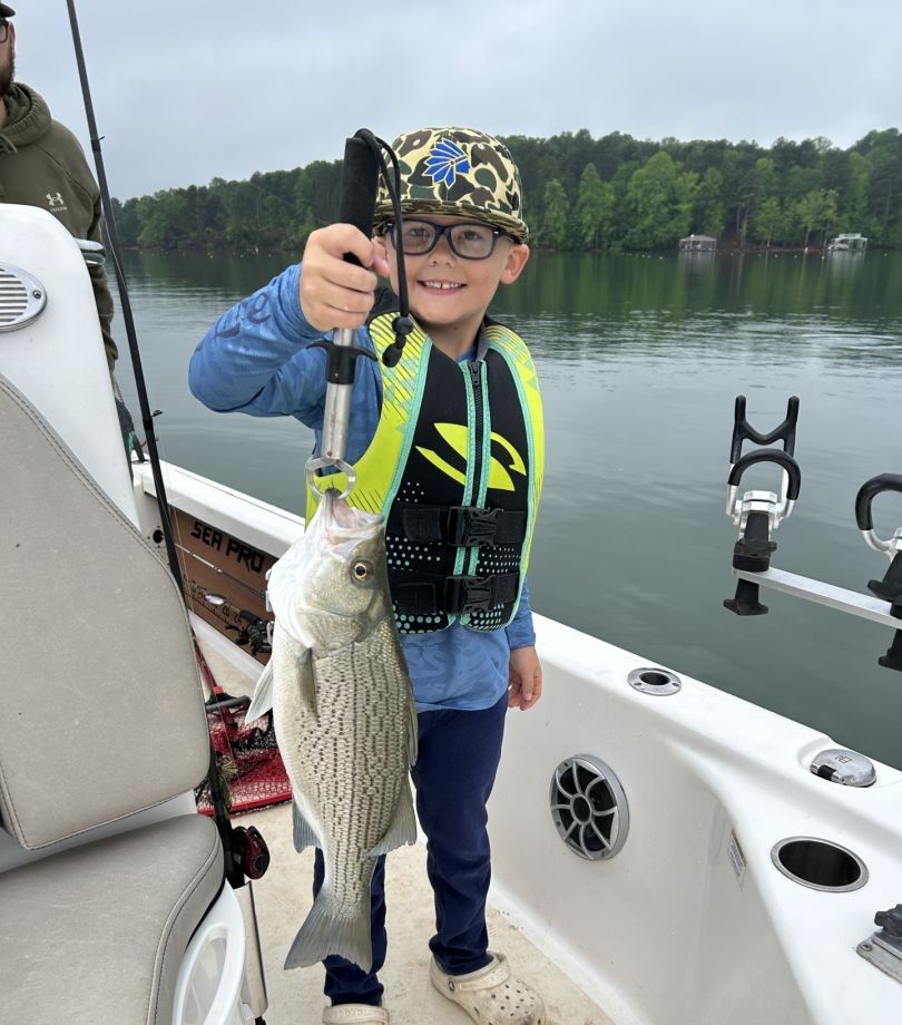 Wiper (Hybrid striped bass) caught while fishing