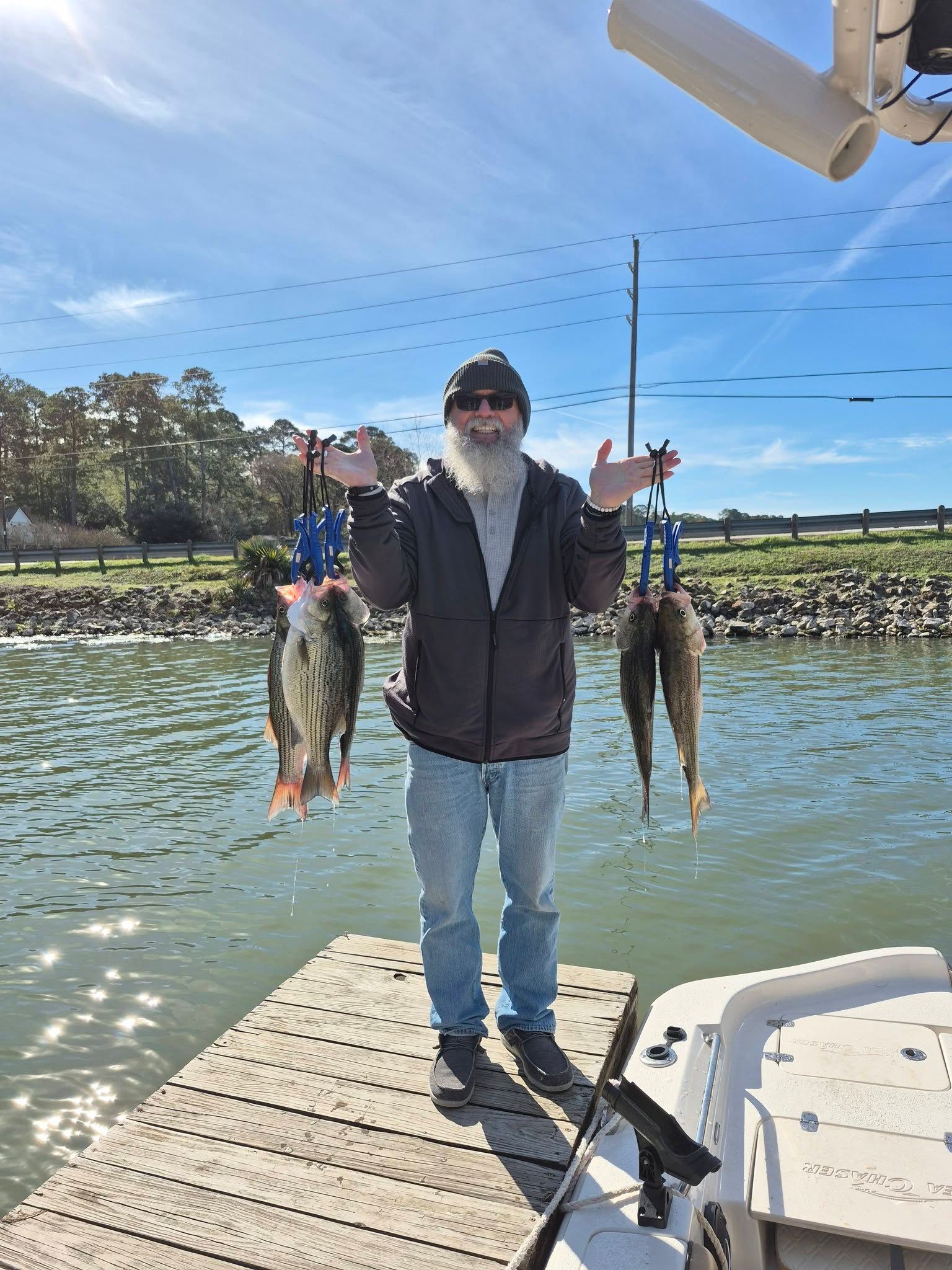 Two wiper (hybrid striped bass) caught while fishing