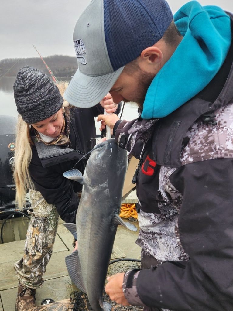 Blue catfish caught by angler