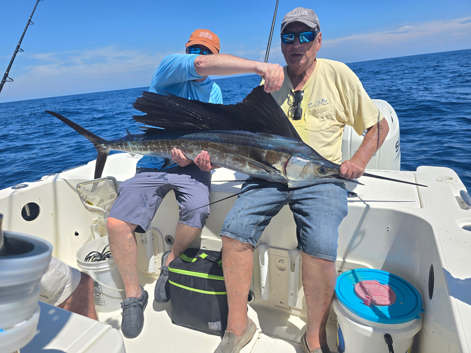 Nice Atlantic sailfish brought to the boat! Great action with the deep sea techniques in Sebastian waters.