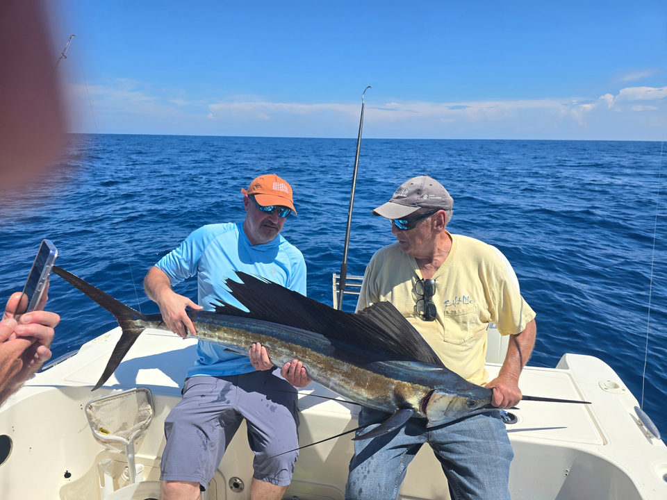 Nice Atlantic Sailfish caught using deep sea jigging and trolling techniques in partly cloudy conditions.